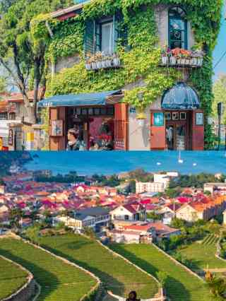 Shazikou Squareのおすすめ完全ガイド2025年（12月更新）| Trip Moments