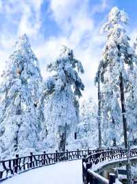 姊妹們來川西與雪來一次擁抱呗