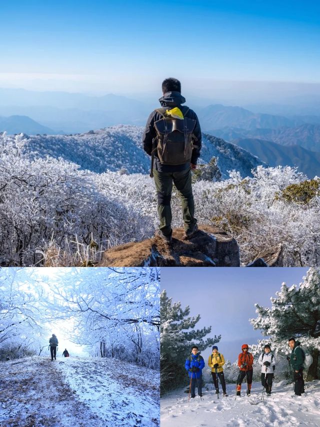 雪後徒步上龍王山，都不想下來了，原來是因為她