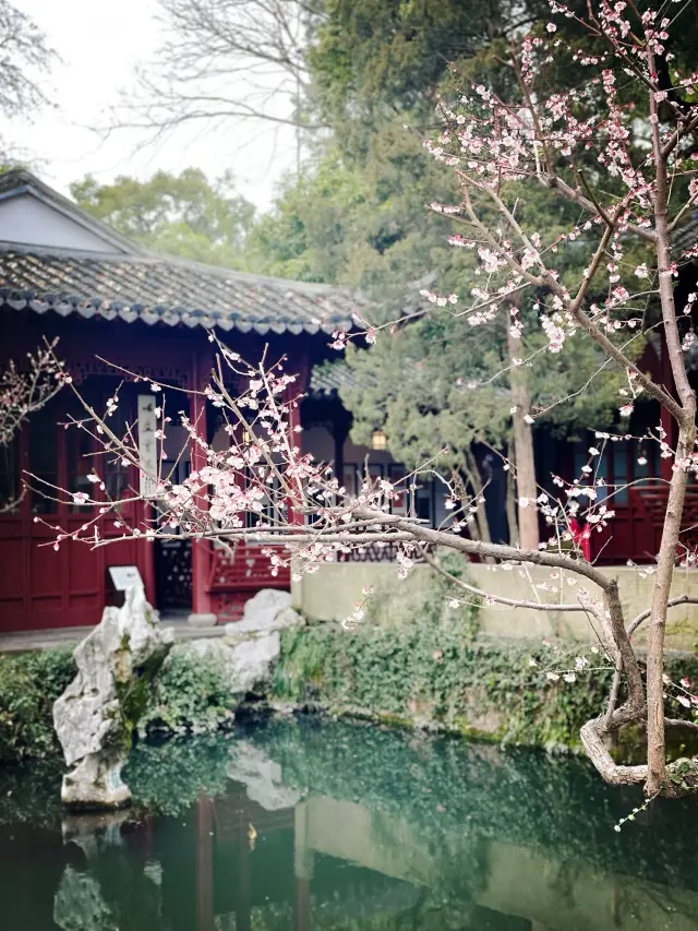 Be sure to dedicate a day to Gushan Road when strolling through Hangzhou in spring