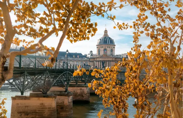 Golden Paris Moments