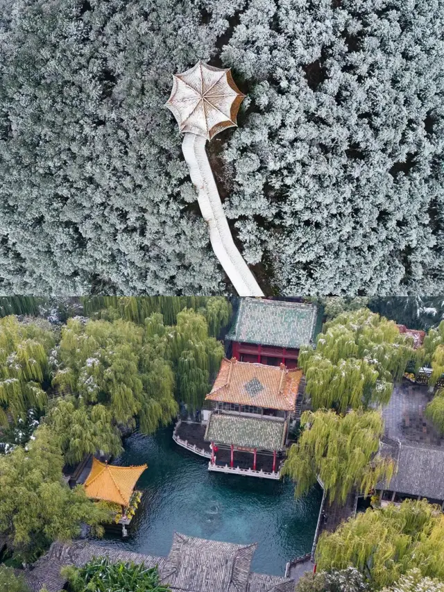 雪中の大明湖|老舍の「济南の冬」が再現されます
