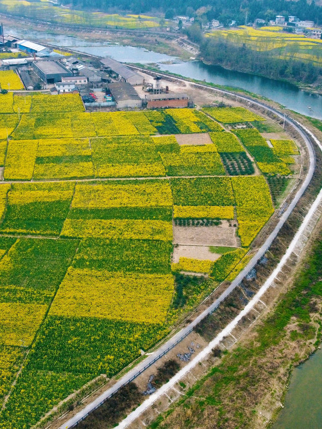 小眾路線看不一樣的景色 | 賞花露營