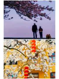 接下來的杭州是這樣的，堪稱浪漫天花板