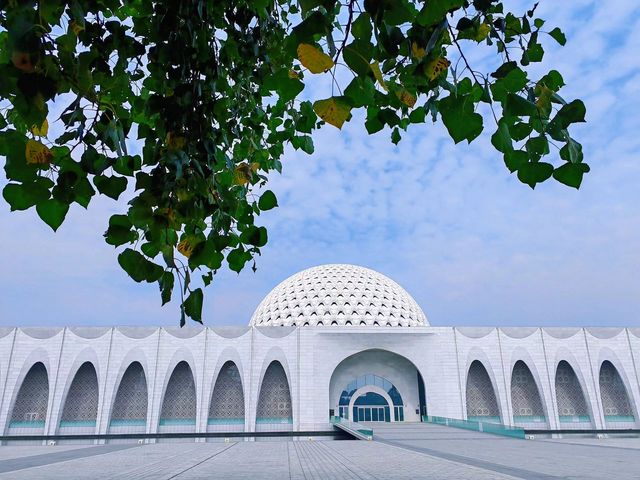 大廠民族宮：遛娃勝地與書香聖地