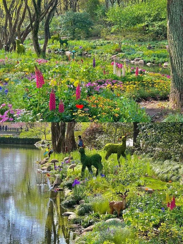 共青不止莫奈花園，親測賞花路線攻略