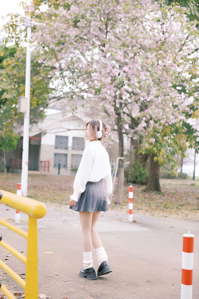 發現廣州絕美紫荊花綠道｜一大片，人少