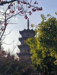 泉州·開元寺——「千年古剎」