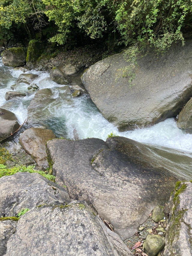 在重慶我會打卡無數次的風景，真的太美了