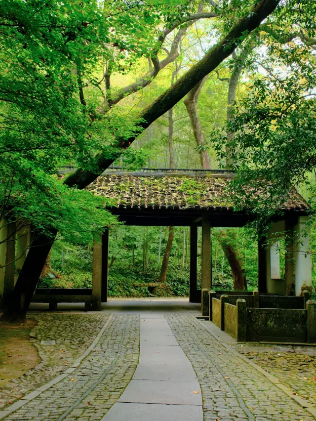 세밀한 비가 내리는 운계죽경은 아마도 진정한 연우강남일 것이다