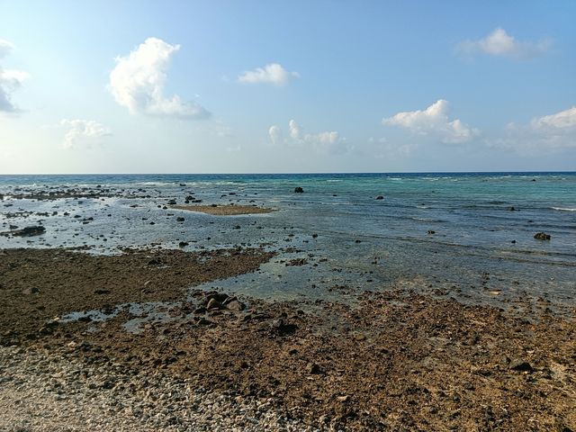 西沙羚羊礁 西沙羚羊礁