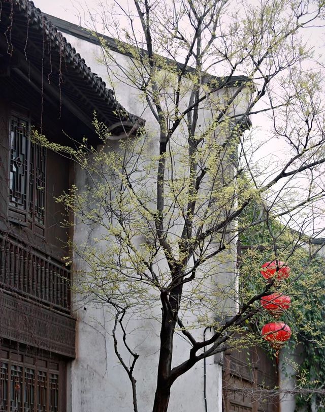 南京|清晨七點的老門東，夢回金陵城