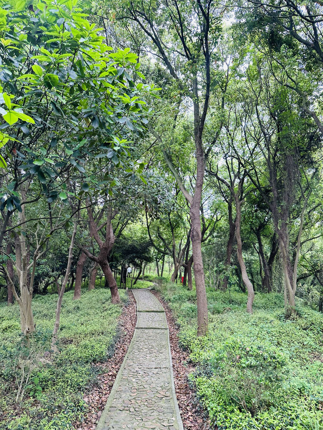 小昆山與華庭二陸