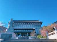 這麼近，那麼美