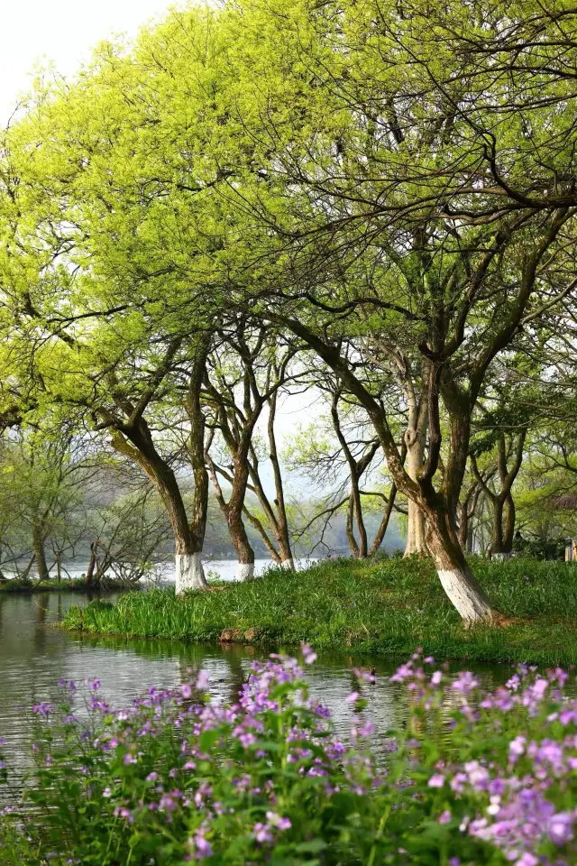 Maojiabu, a serene green oasis hidden in the city