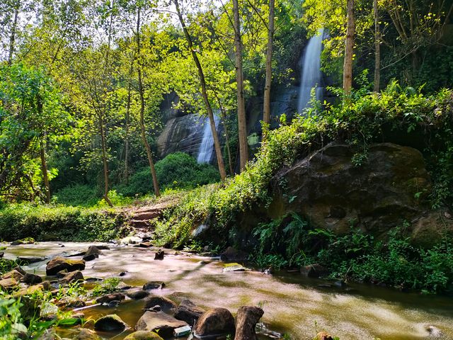 四川省自貢市富順縣天池湖位於寶慶鄉，是一個漂亮且綠樹成蔭的湖泊