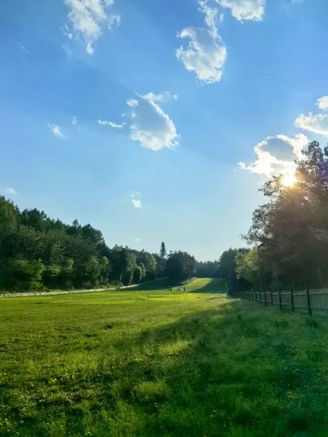 Just got back from Changchun, and the Jingyuetan in May is still so beautiful