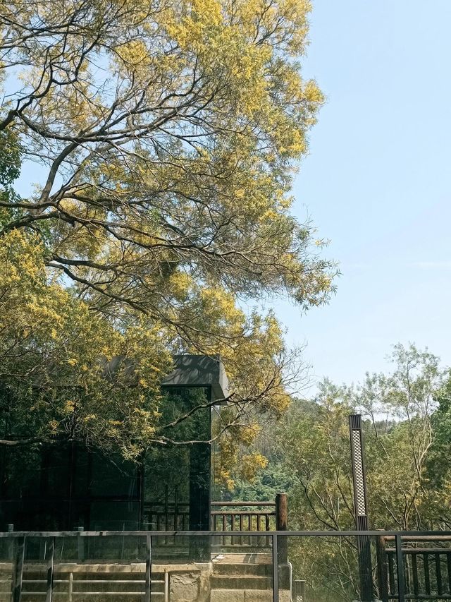 打卡春色寄情人泉州永春取景地