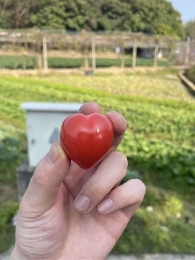 在深圳！藏在觀瀾的百年客家古村落-觀瀾版畫