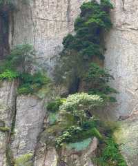 新昌美景