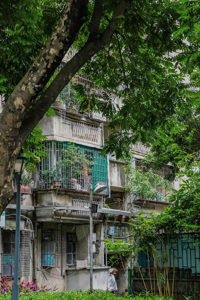 佛山垂虹路 | 文藝味和煙火氣的交織