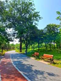 Calming and Refreshing Park in Chaoyang