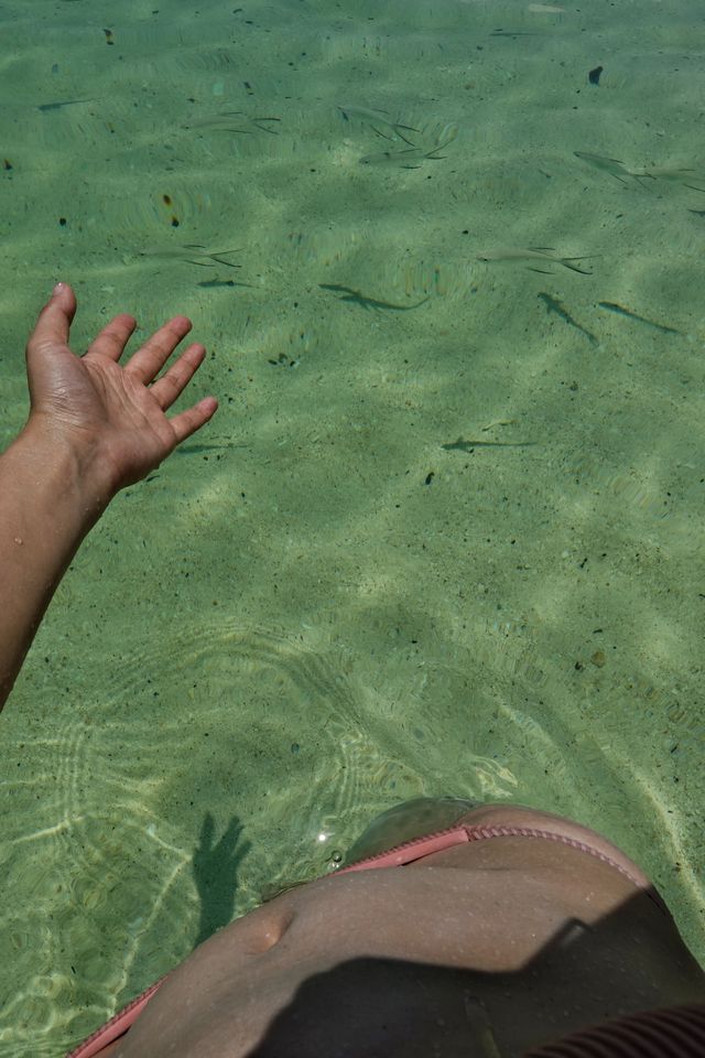 麗貝島｜找到了一片可以站著看魚的沙灘