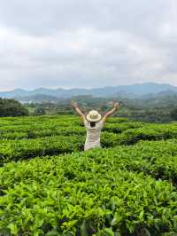 美麗的霞葛司下茶山夜市
