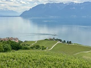 Lavaux Vineyard Hiking