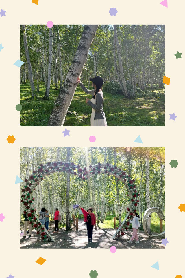夏日奔赴呼倫貝爾，領略草原之夏