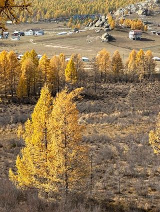 A Detailed One-Day Tour Around Ulaanbaatar