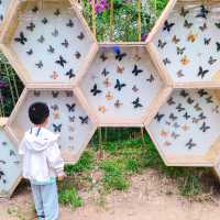 烏蘭察布小眾遛娃地 | 察右前旗現代農業產業園