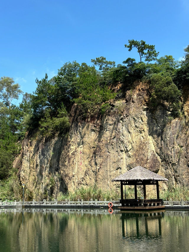 廈門洋麻山森林公園遊玩攻略！超詳細！