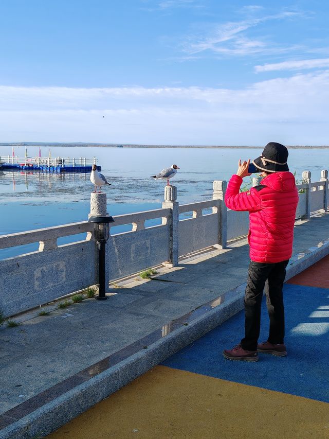 青海行11