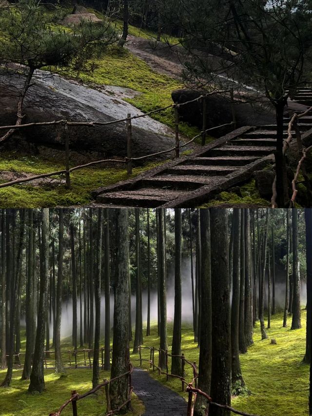 玉苍山