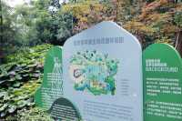 魔都親子友好商場搬來座沙沙島，快來免費挖沙