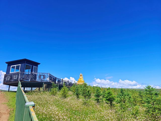 再別亞青