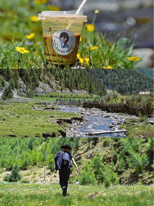 對我的川西去班味之旅簡直滿意到睡不著