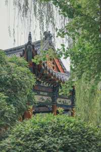 珍珠泉｜玉輪滾滾無時已，珠顆涓涓盡日生