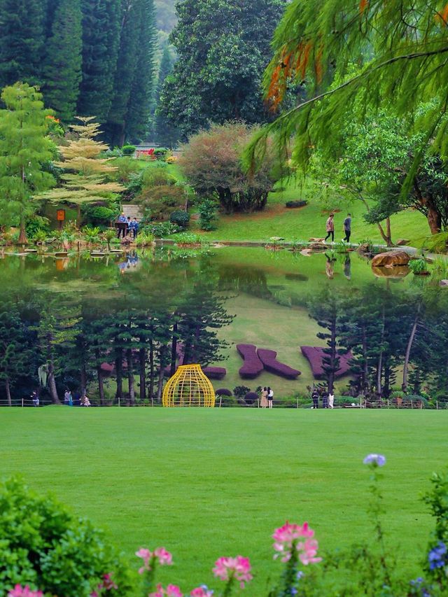 仙湖植物園，我原稱之為深圳小絕境