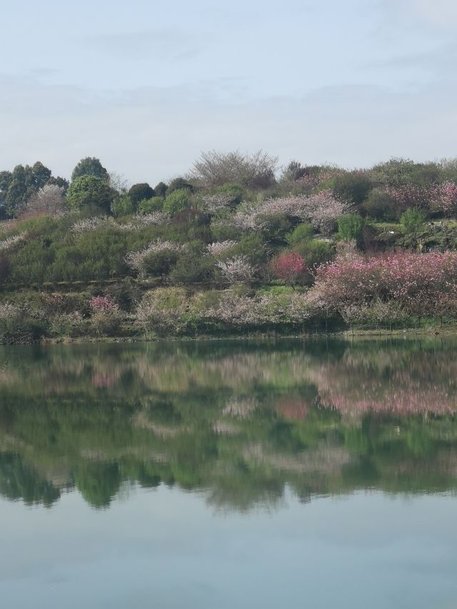 新昌鹽幫古道