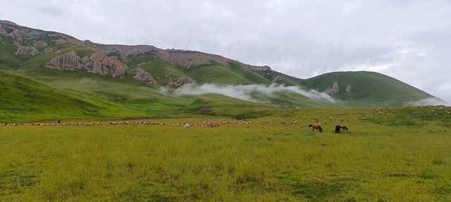 甘南-川西北自駕8日
