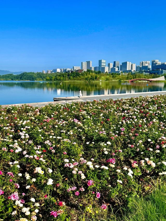 湖濱廣場(興隆湖)