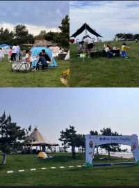 日照 |  這片海灘的露營公園美到讓人心醉