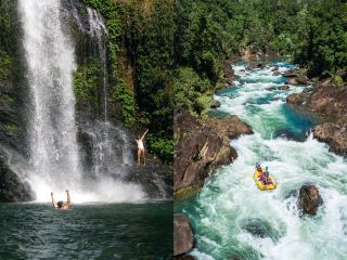 Explore the depths of the tropical rainforest and experience the magical journey of North Queensland