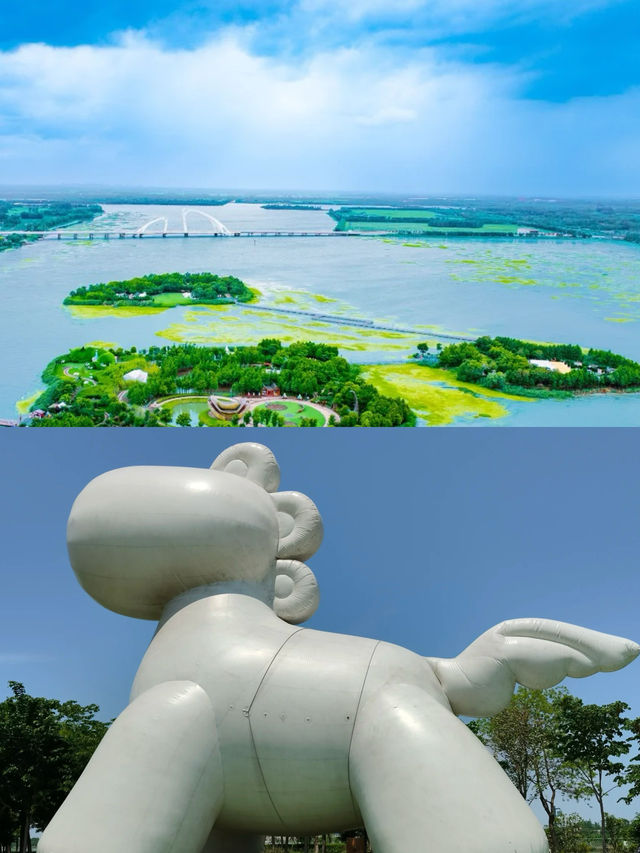淮安|童話世界裡的肥貓島太治癒了！！