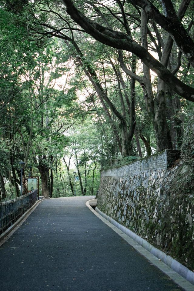 泉州德化。