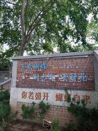 快來這個不一樣的地方拍美美的照片吧。