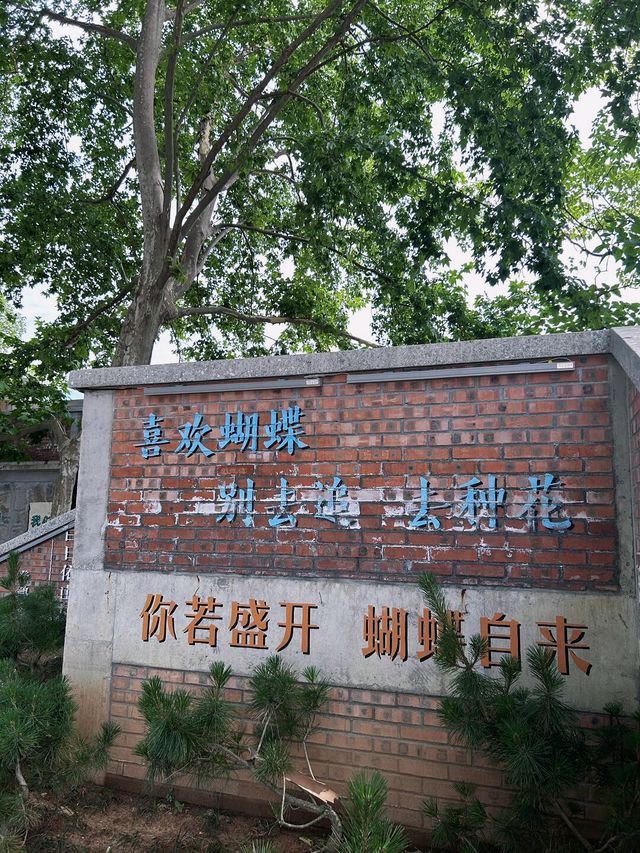 快來這個不一樣的地方拍美美的照片吧。