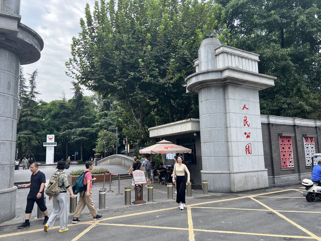 成都的"人民公園"充滿濃厚的市井氣息!